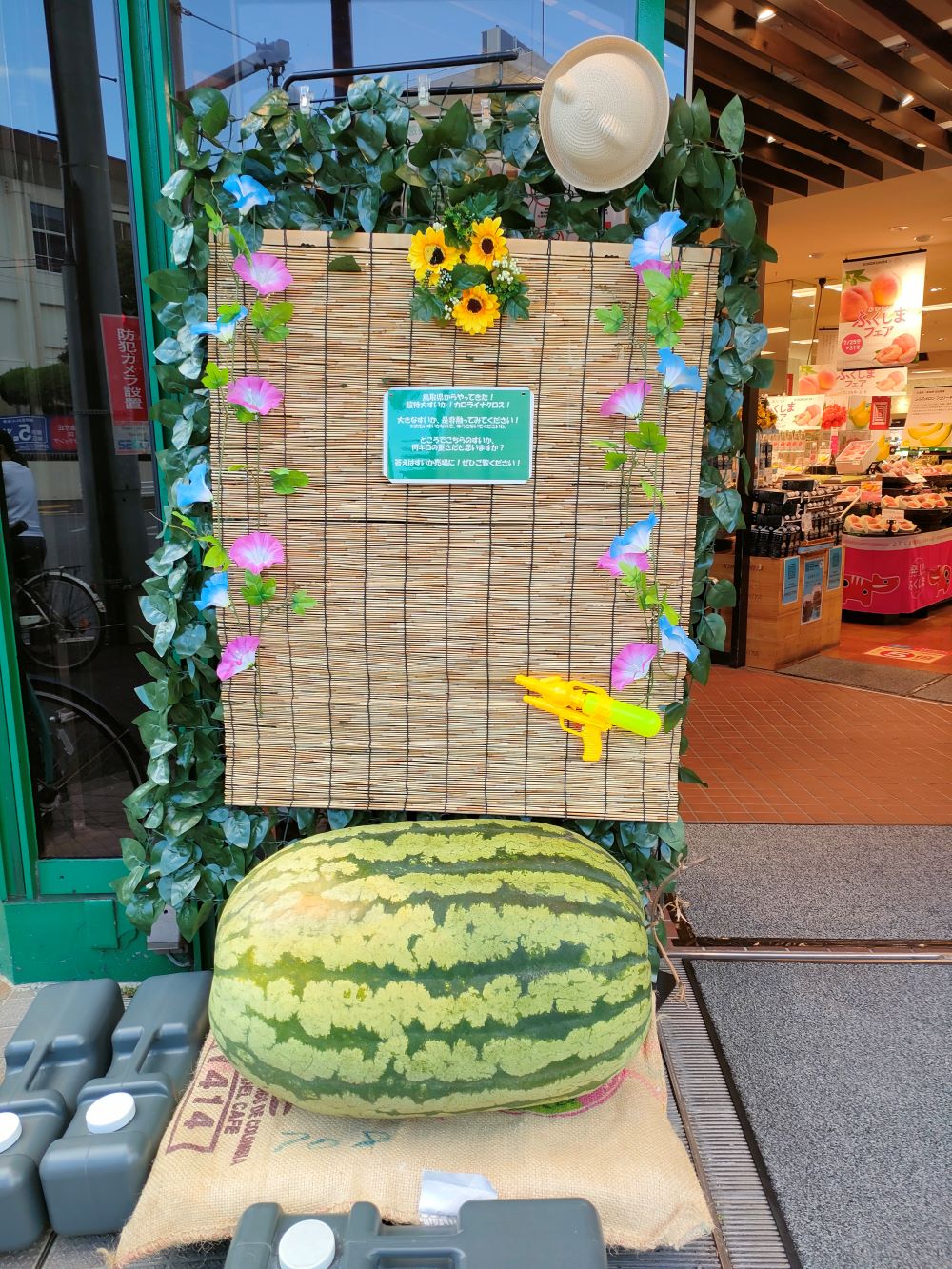 ２０２４．８．９　～夏本番～